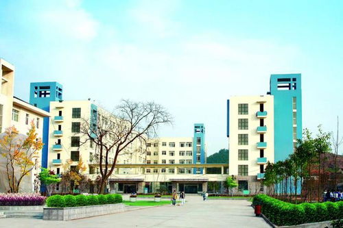 女兒小升初成績出來,內心抑制不住的哭了 家長 特別對不住孩子