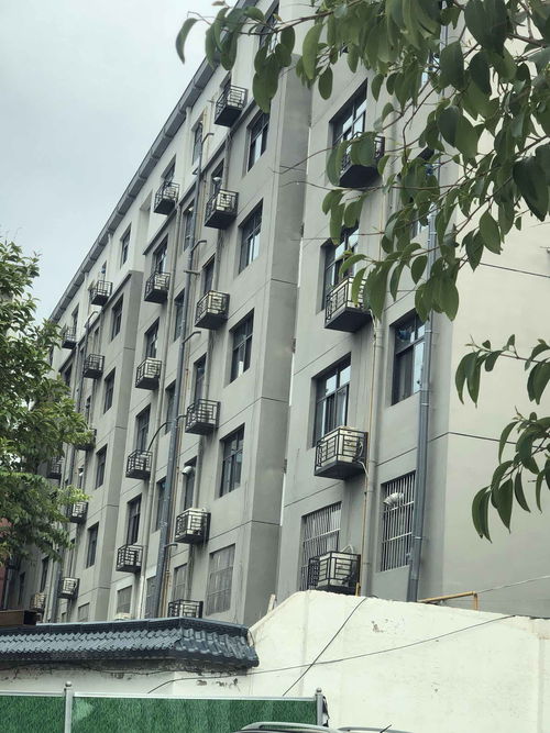 洛陽市老舊小區改造洛陽大華機械廠家屬院何時動工