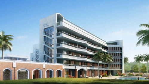 為何偏偏是廈門