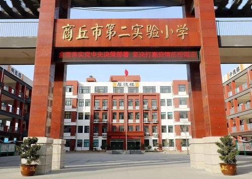 筆墨揮灑,南隅雅風 2020商丘市第二實驗小學精品活動社團專輯 三