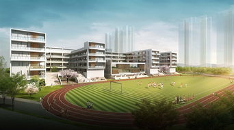 精品現(xiàn)代中小學(xué)詳細建筑su模型