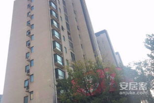 大華錦繡華城十一街區(qū)綜合評測：優(yōu)點、不足與周邊教育資源分析