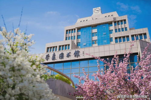 一眼千年繁華，一夢古都盛景：大華第二小學(xué)如何點亮古城新生機