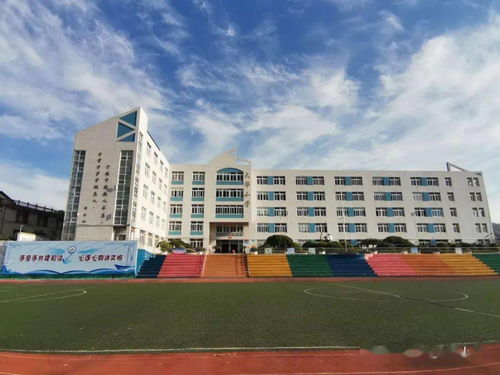 心之所向 素履而往——大華小學第十一周工作回顧