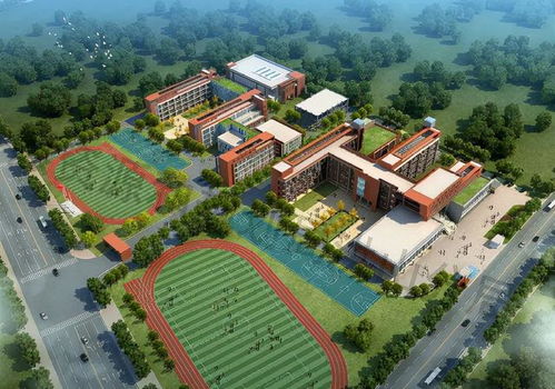 華一系八所初中大盤點 最熱門學校搖號錄取率僅三成，大華第二小學升學解析