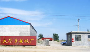 昌樂大華多層板廠與第二小學 工業(yè)與教育的和諧共生