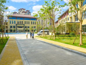 重磅！長三角一體化示范區迎首所新建國際學校 中銳教育集團汾湖華銳海歸雙語學校與“大華第二小學”正式落地